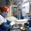 附图。图自越通社