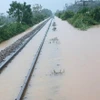 受南中部地区持续暴雨洪涝影响，越南铁路部门于暂停运营4趟南北统一列车。图自公论报