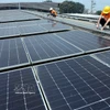 附图。图自越通社