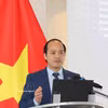 在比利时卢森堡越南知识分子协会（ViLaB）主席冯国智。图自越通社