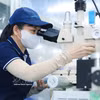 附图。图自越通社