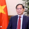 越南政府副总理兼外交部长裴青山。图自越通社