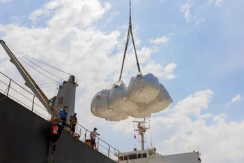 越南大米长期以来在国际市场上享有盛誉，目前已出口至150多个国家和地区。图自越通社