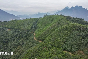 附图。图自越通社