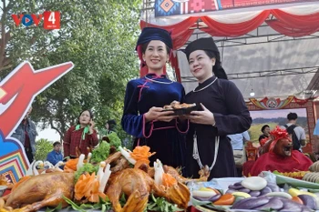 谅山烤猪、烤鸭以及各种颜色的糍粑。图自越南之声