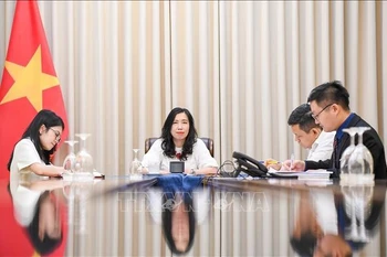 越南外交部副部长黎氏秋姮同吉尔吉斯斯坦外交部副部长阿巴基罗夫通电话。图自越通社