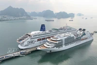 两艘巨大的"漂浮酒店"—Seabourn Encore号和Piano Land号相继靠岸。图自越通社