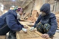 附图 图自越通社