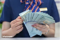 10月24日上午美元价格几乎保持不变。图自越通社