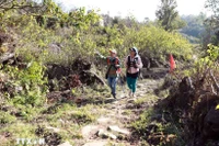 帕维古石径。图自越通社