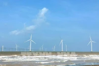 越南坚定构建可持续经济的决心。图自越通社