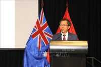 越南驻澳大利亚大使范雄心。图自越通社