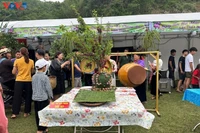 当地政府和农民推销农产品和水果。图自越南之声