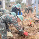 第380号决议：加快灾后恢复 早日稳定群众生活