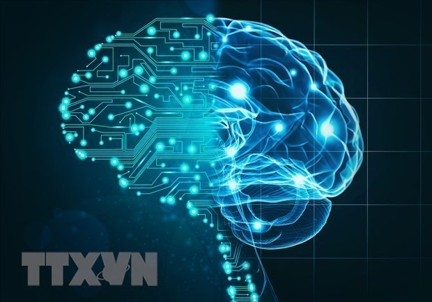 越南力争到2030年跻身东南亚人工智能研发前三强。图自越通社
