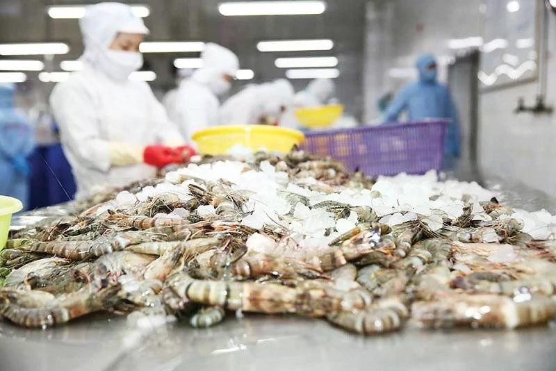 附图 图自越通社