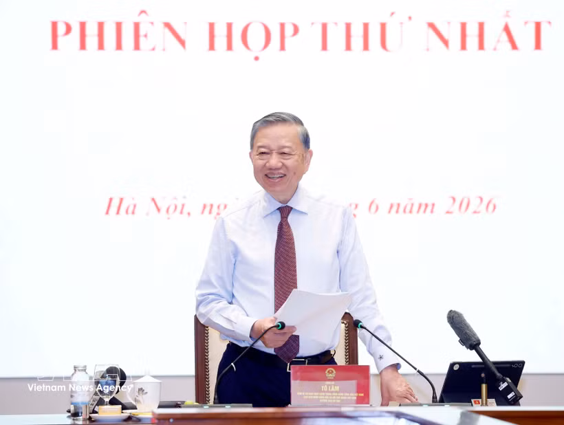 越共中央总书记、国家主席、指导委员会主任苏林主持会议。图自越通社