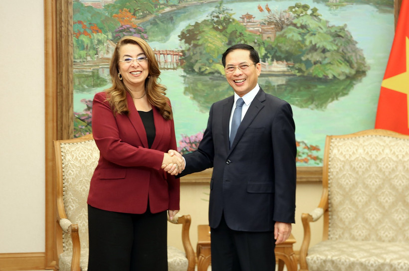 越南政府副总理裴青山与联合国副秘书长、联合国毒品和犯罪问题办公室执行主任兼联合国维也纳办事处主任加达·瓦利。图自政府电子门户网