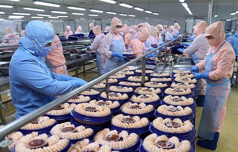 越南与以色列贸易强劲增长。图自互联网