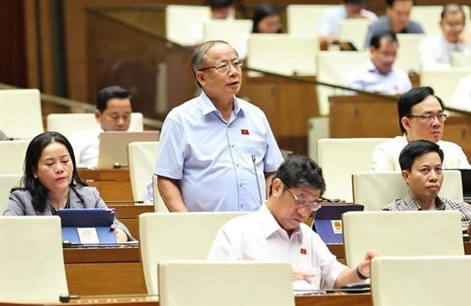 太平省代表阮文伸发表讲话。图自越通社