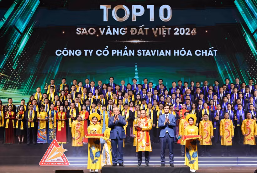 2024年越南金星奖颁奖典礼。图自越通社