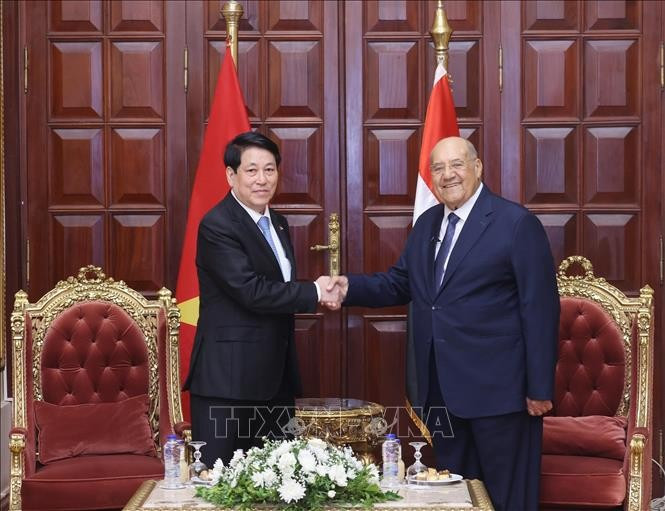 越南国家主席梁强会见埃及参议院议长阿卜杜瓦哈卜·阿卜杜拉齐格。图自越通社