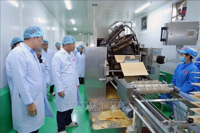 在老越侨企业日益巩固其在经济发展中的重要作用。图自越通社