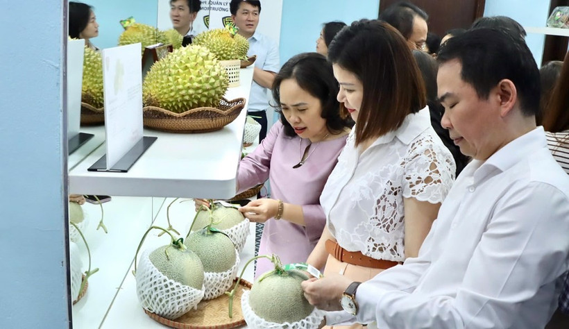 展览上展出的所有水果产品都带有二维码，用于追溯产地。图自越通社