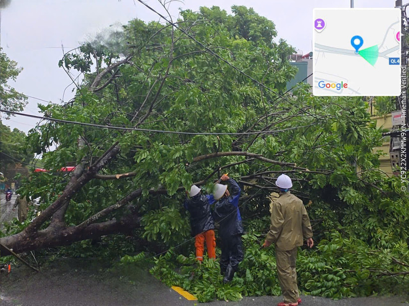 清化省部分地区遭受第三号台风的影响。图自越通社