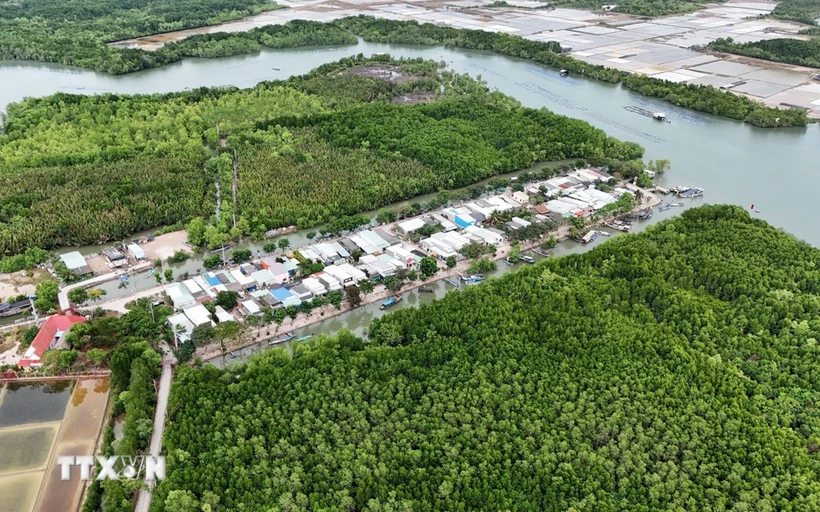 芹耶县盛安岛乡天连（Thiềng Liềng）村一角。图自越通社