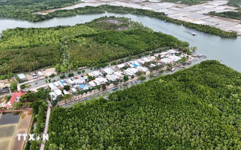 芹耶县盛安岛乡天连（Thiềng Liềng）村一角。图自越通社