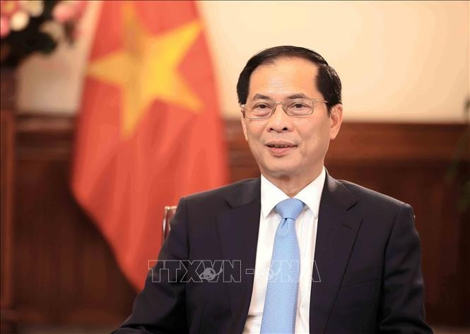越南政府副总理兼外交部长裴青山。图自越通社