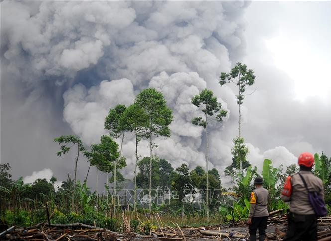 印尼塞梅鲁火山喷发。图自越通社