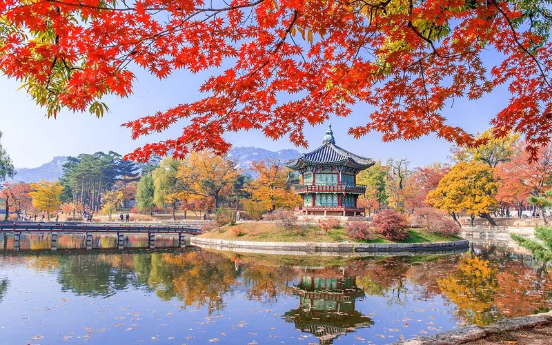 韩国红叶季之美。图自越南人民报
