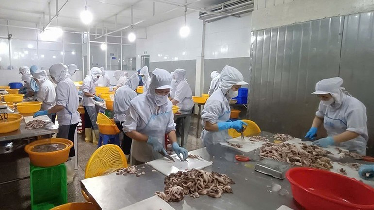 前 10 个月，越南水产品出口额约达 93.1 亿美元，同比增长约 12.9%。图自越南人民报