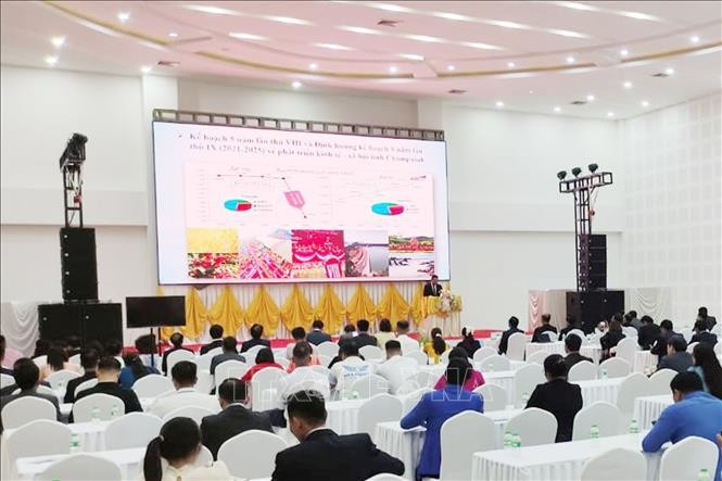 推动东西经济走廊论坛暨展销会在老挝色贡省举行。图自越通社