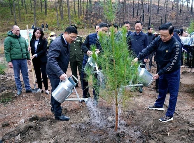 陈红河副总理参加“永远铭记胡伯伯之恩”新春植树节。图自越通社