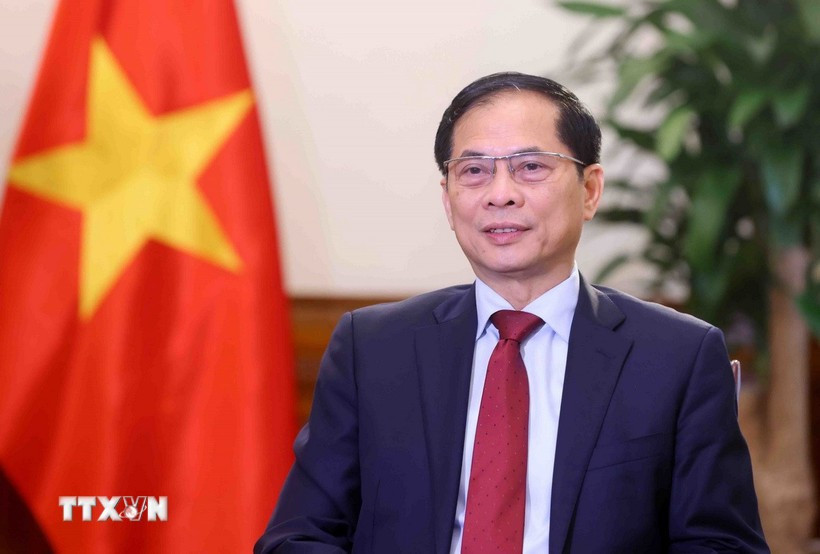 越南政府副总理兼外交部长裴青山。图自越通社