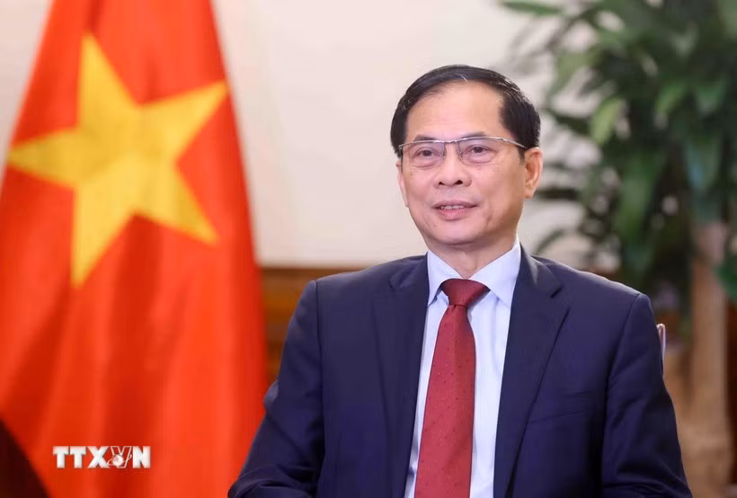 越南政府副总理兼外交部长裴青山。图自越通社