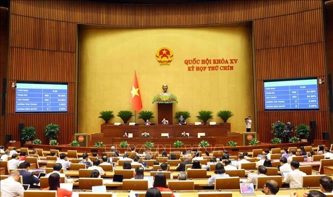 国会已投票通过国会关于修改、补充2013年宪法若干条款的决议。图自越通社