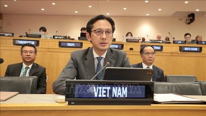 越南常驻联合国代表团团长杜雄越大使发言。图自越通社