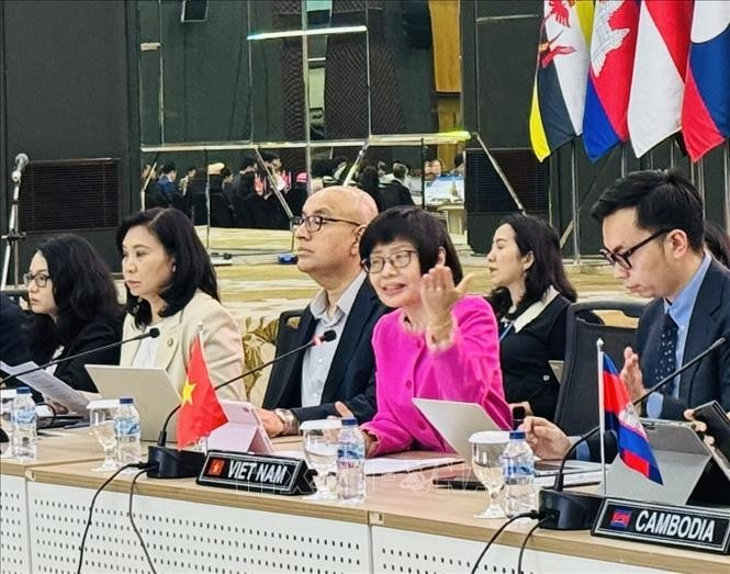 越南常驻东盟代表团团长尊氏玉香大使（分红衣）主持会议。图自越通社