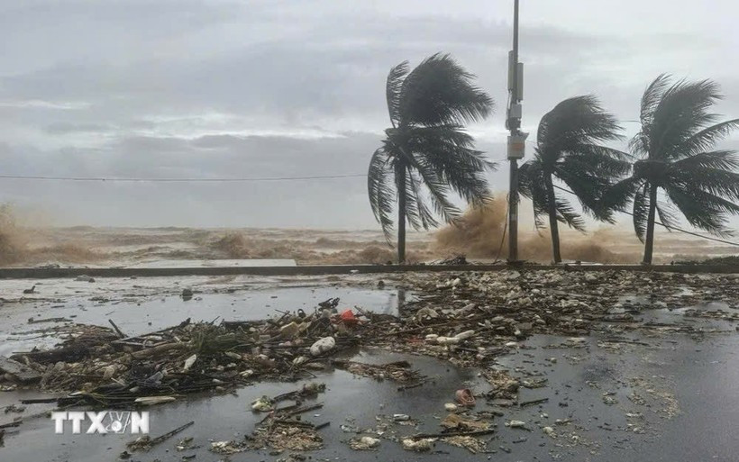 附图 图自越通社