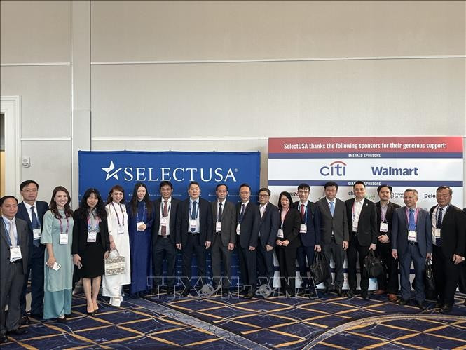 与会代表合影。图自越通社