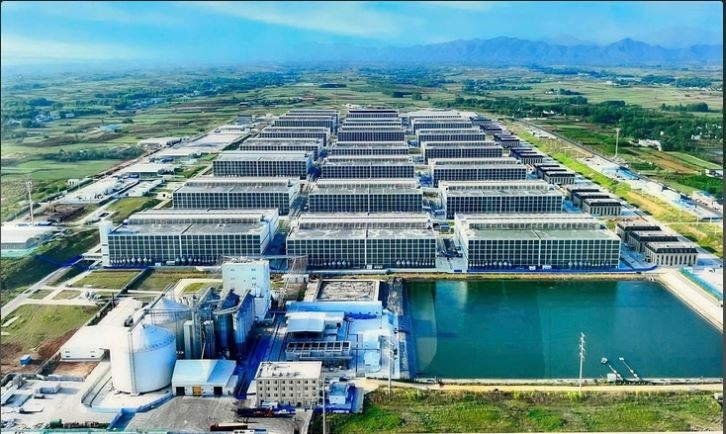 越南农业与环境部建议开展多层楼房养猪模式。图自《青年报》