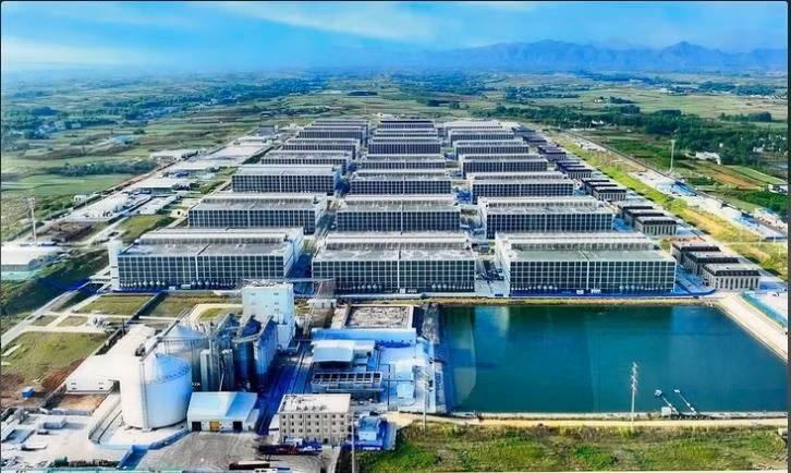 越南农业与环境部建议开展多层楼房养猪模式。图自《青年报》