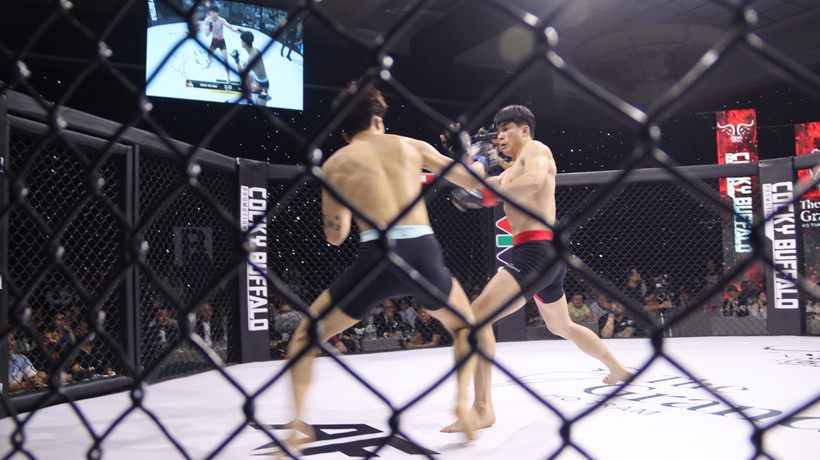 天使格斗锦标赛37期Hồ Tràm Showdown的一场比赛。图自越通社