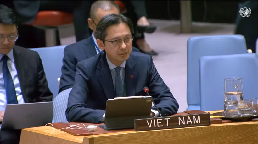 越南常驻联合国代表团团长杜雄越大使。图自越通社