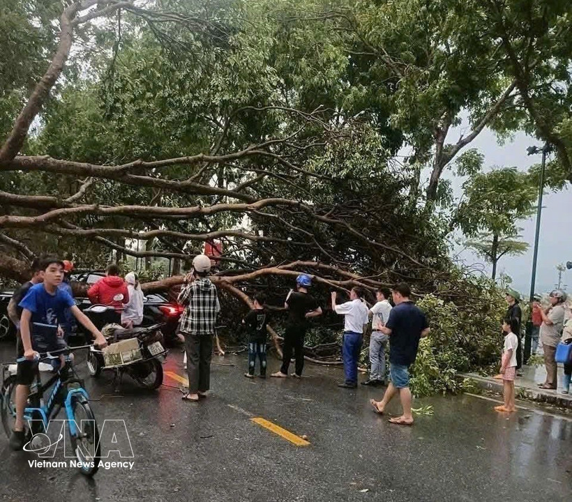 越南北部多地冰雹、龙卷风和雷暴集体爆发造成严重损失。图自越通社