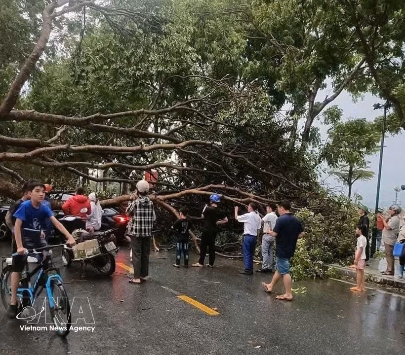 越南北部多地冰雹、龙卷风和雷暴集体爆发造成严重损失。图自越通社